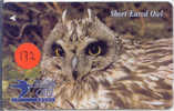 OWLHIBOU EULE Uil On Phonecard (172) - Eulenvögel