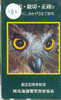 OWLHIBOU EULE Uil On Phonecard (182) - Owls