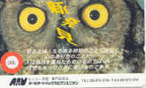 OWL HIBOU EULE Uil On Phonecard (206) - Owls