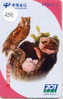 UIL HIBOU Owl EULE Op Telefoonkaart (250) - Uilen