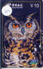 UIL HIBOU Owl EULE Op Telefoonkaart (257) - Owls