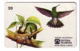 Brasil - Fauna – Faune - Birds - Oiseau - Bird - Oiseaux - Vogel – Uccello – Pajaro - Voegel - Amazilia Versicolor - Andere & Zonder Classificatie