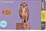 HIBOU EULE OWL UIL BUHO GUFO Telecarte (338) - Aigles & Rapaces Diurnes