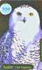 HIBOU EULE OWL UIL BUHO GUFO Telecarte (339) - Arenden & Roofvogels