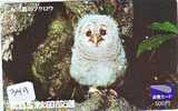 HIBOU EULE OWL UIL BUHO GUFO Telecarte (349) - Águilas & Aves De Presa