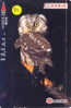 HIBOU EULE OWL UIL BUHO GUFO Carte (84) - Águilas & Aves De Presa