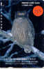 HIBOU EULE OWL UIL BUHO GUFO Carte (132) - Adler & Greifvögel