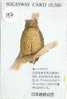 HIBOU EULE OWL UIL BUHO GUFO Carte (157) - Eagles & Birds Of Prey