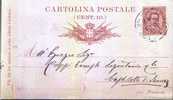 CAPRINO / CASTELLETTO DI BRUEZ (?) - Anno 1890 - Stamped Stationery