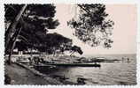 H138 - BOULOURIS - La Promenade Du Bord De Mer (1955 - Très Jolie Carte Semi-moderne) - Boulouris