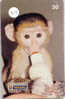 SINGE AFFE Monkey AAP Telecarte (39) - Jungle