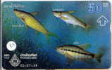 POISSONS FISCHE FISH VIS Telecarte (83) - Poissons