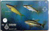 POISSONS FISCHE FISH VIS Telecarte (83) - Peces