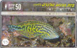 POISSONS FISCHE FISH VIS Telecarte (91) - Pesci