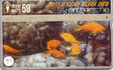 POISSONS FISCHE FISH VIS Telecarte (95) - Fische