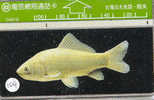 VIS  POISSONS FISCHE FISH Op Telefoonkaart (109) - Pesci
