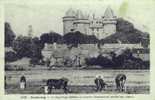 D35 - COMBOURG - VUE ANIMEE SUR LE CHATEAU - Combourg