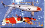 VIS POISSONS FISCHE FISH  Op Telefoonkaart (126) - Vissen