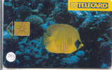 VIS POISSONS FISCHE FISH  Op Telefoonkaart (143) - Peces