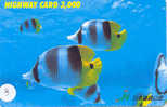 POISSONS FISCHE FISH VIS Carte (3) - Peces