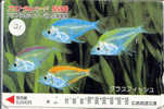 POISSONS FISCHE FISH VIS Carte (21) - Peces