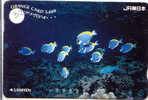 POISSONS FISCHE FISH VIS Carte (32) - Vissen