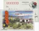 China 2001 Hangzhou Tea Museum Advertising Postal Stationery Card - Other & Unclassified