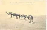 Algérie.Caravane Traversant Les Dunes De Sable. - Scènes & Types