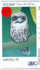 UIL OWL HIBOU EULE BUHO Op Telefoonkaart (373) - Eagles & Birds Of Prey