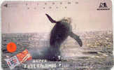 BALEINE WAL WHALE WALVIS BALLENA Telecarte (3) - Vissen