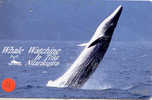 BALEINE WAL WHALE WALVIS BALLENA Telecarte (11) - Vissen