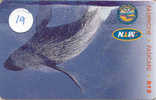 BALEINE WAL WHALE WALVIS BALLENA Telecarte (19) - Vissen