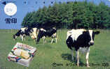 VACHE KUH COW KOE VACA MUCCA Telecarte (20) - Cows