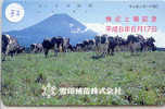 VACHE KUH COW KOE VACA MUCCA Telecarte (32) - Cows