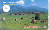 VACHE KUH COW KOE VACA MUCCA Telecarte (54) - Vaches