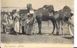 CONCOUR AGRICOLE DE CHAMEAUX 1er PRIX RARE - Viehzucht