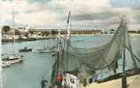 Royan : Le Front De Mer Vu Du Port - Fishing Boats