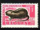 Uruguay ** (230) - Knaagdieren