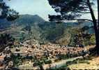 CARTE POSTALE DE NYONS - LA MONTAGNE DE VAUX - L AYGUES ET LE PONT ROMAIN - Nyons