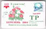 Ukraine: Month Trolleybus Card From Kiev 2004/03 - Europe