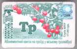 Ukraine: Month Trolleybus Card From Kiev 2001/09 - Europe