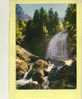 Nos Belles Alpes - La Cascade à L'eau Fraiche Et Limpide - CPM 1977 - Ed Cim N° 14 - Andere & Zonder Classificatie