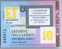 Russia, Togliatti: Month Bus And Trolleybus Ticket 2002/10 - Europe