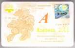 Ukraine: Month BUS Card From Kiev 2001/10 - Europe