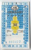 Estonia: Month Bus Ticket From Narva (10) - Europe