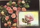 Umm Al Qiwain - Block Postfrisch / Miniature Sheet Mint (B247) - Rose