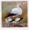 Bird- White Stork (Cocinia Ciconia)  ESTONIA - 2004 MNH - Cigognes & échassiers