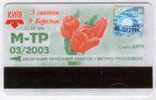 Ukraine: Month Metro And Trolleybus Card From Kiev 2003/03 - Europe