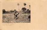 GUINEE FRANCAISE Conakry, Types, Peche De Coquillages, Femmes Seins Nus, Ed Bouquillon 34, Dos 1900 - Guinée Française
