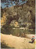 Pont D'Arc Et L'Ardèche  4705 Les Belles Images De L'Ardeche - Largentiere